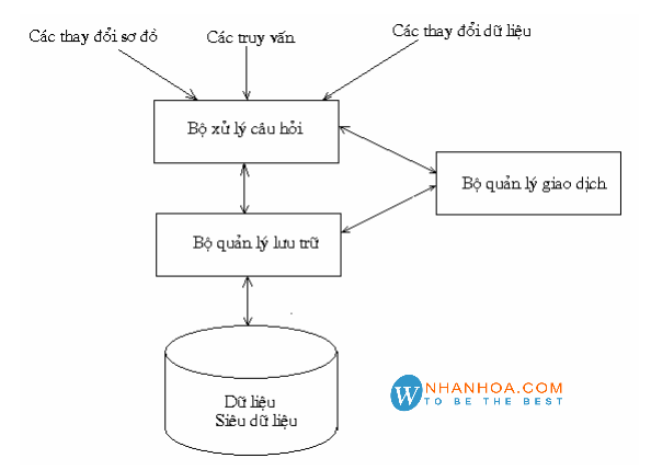 Hệ quản trị cơ sở dữ liệu