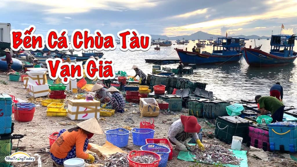 Khu Du Lịch Bãi biển Đại Lãnh Nha Trang Hoang Sơ Kỳ Vĩ