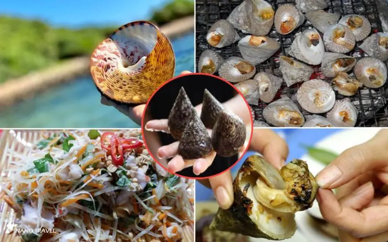 Vé rừng dừa Bảy Mẫu Hội An - Chèo thuyền thúng giá rẻ