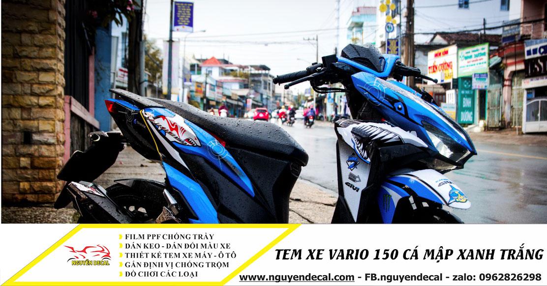 20+ mẫu decal - Tem xe vario được săn đón nhất hiện nay