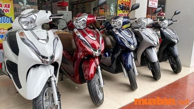 Mua Bán Xe Honda Lead Cũ Giá Rẻ, Mới Nhất T6/2024