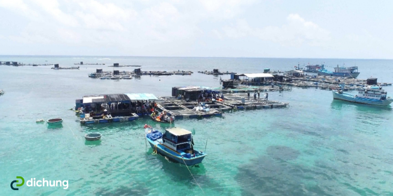 Từ sân bay Phan Thiết đi Phú Quý bao xa Di chuyển như thế nào