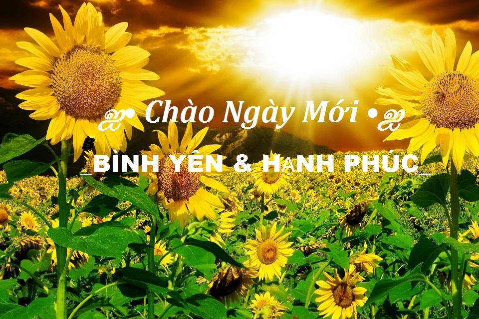 Bức tranh chúc buổi sáng tươi mới và đẹp đẽ