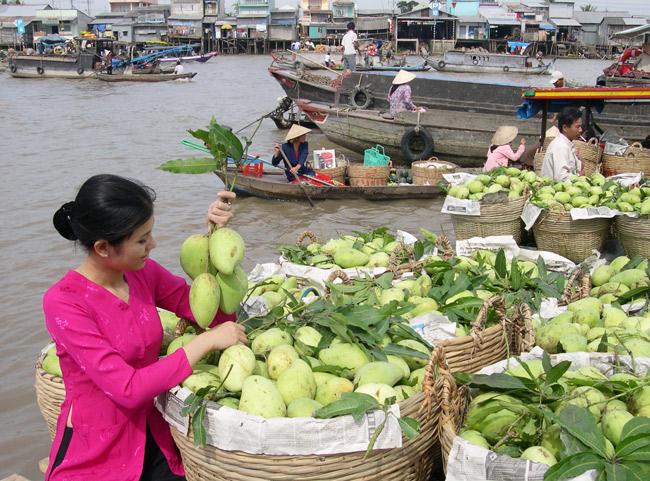 Du lịch 6 tỉnh miền Tây ” Mỹ Tho - Bến Tre - Cần Thơ - Sóc Trăng - Bạc Liêu - Cà Mau “