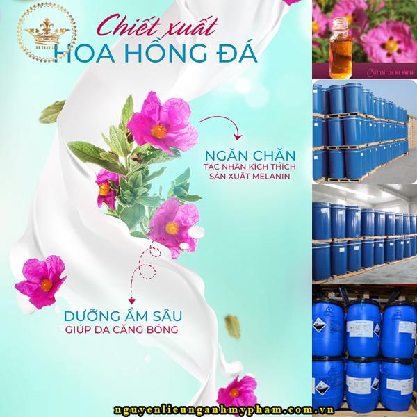 Chiết xuất hoa hồng đá: NGUYÊN LIỆU MỸ PHẨM, CHIẾT XUẤT THIÊN NHIÊN SỐ LƯỢNG...