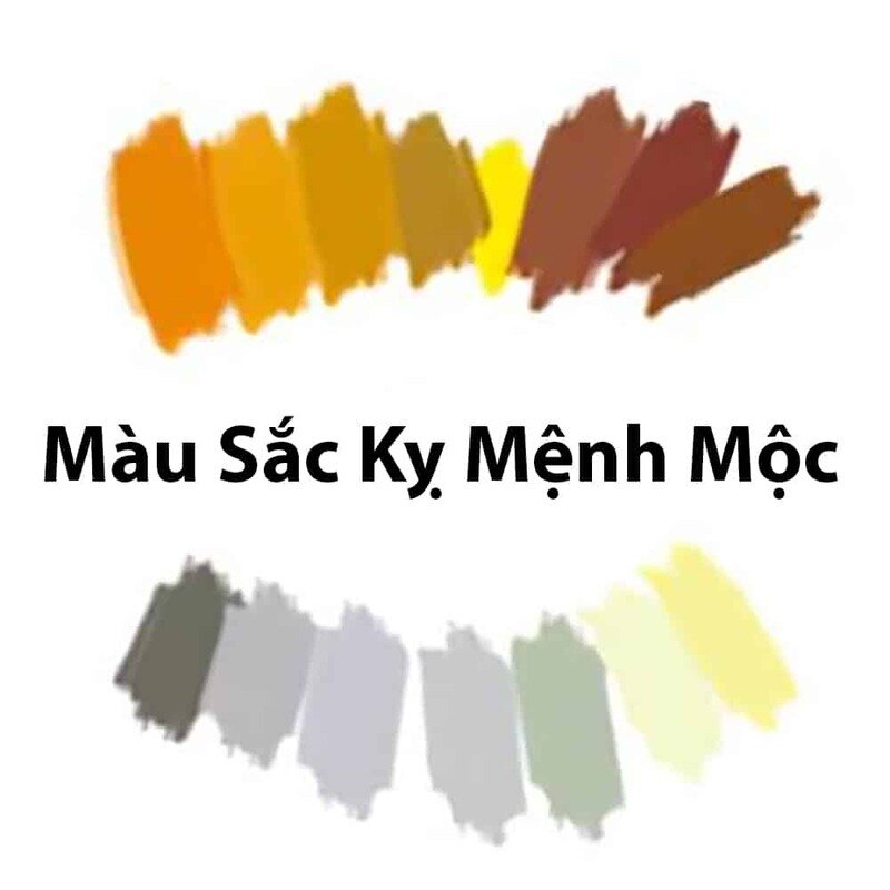 Mệnh Mộc Hợp Xe Màu Gì? Bí Quyết Chọn Màu Xe Thu Hút Tài Lộc