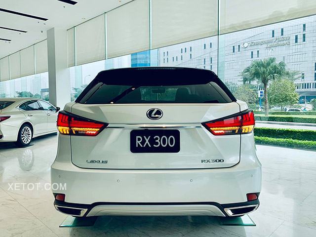 Lexus RX 300 2024: Giá lăn bánh khuyến mãi, Đánh giá xe, Thông số kỹ thuật