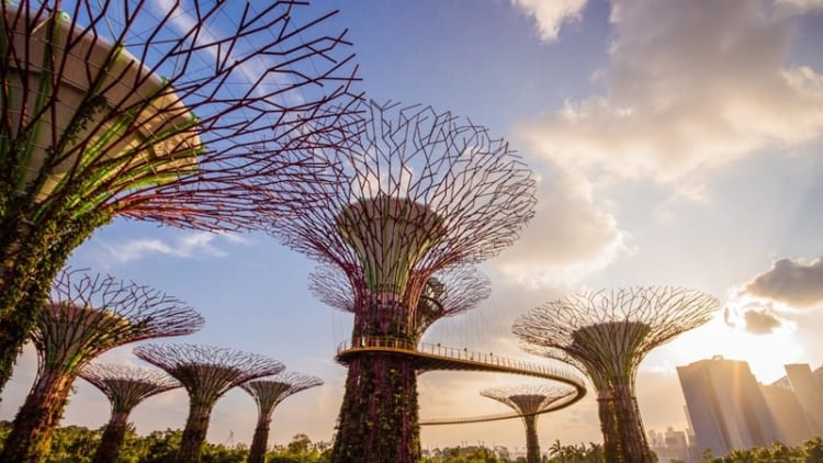 THAM QUAN CÔNG VIÊN SƯ TỬ BIỂN MERLION PARK - BIỂU TƯỢNG DU LỊCH NỔI TIẾNG TẠI SINGAPORE