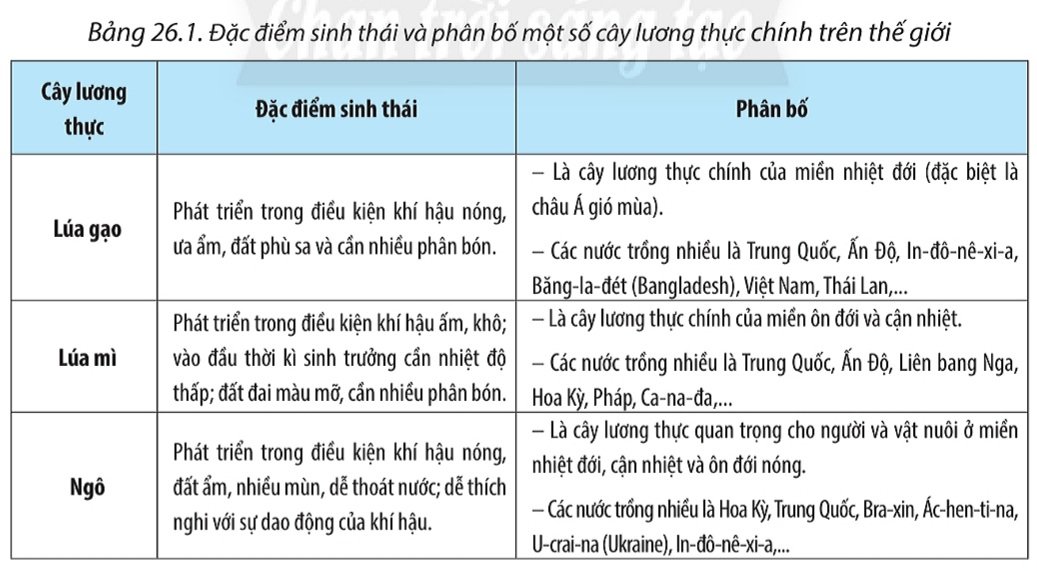 Bài 26. Địa lí các ngành nông nghiệp, lâm nghiệp, thủy sản SGK Địa lí 10 Chân trời sáng tạo