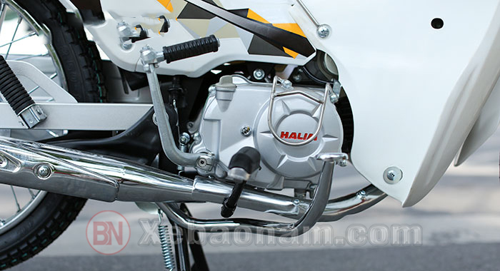 Xe Máy Halim Cub 81 50cc