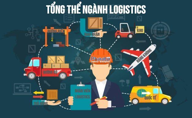 Ngành Logistic Học Trường Nào? Học Logistic Ra Làm Gì?