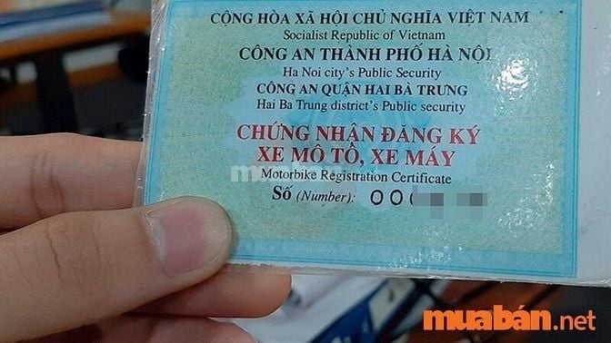 Mua Bán Xe Honda Lead Cũ Giá Rẻ, Mới Nhất T6/2024